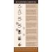 Buy Vietnamese Coffee Starter Set - High Quality Hoa & Traditional Beans | Vietbeans - Buy Online on SooperMarket.com