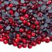 Hotfix Rhinestones 5000pcs SS10 2.8mm Flatback Hotfix Rhinestones Round Crystal Glass Rhinestones for Crafts Clothes Shoes Shirts Cups Decoration(Red) Red SS10/2.8mm/5000pcs