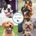 Nature's Specialties Colloidal Oatmeal Creme Rinse 16oz for Dogs & Cats | Non-Toxic & Biodegradable - Buy Online on SooperMarket.com