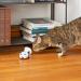 Kittio Robo Mouse: Interactive Cat Toy with Smart Steering Sensors - USB Charging - Buy Online on SooperMarket.com
