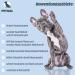 Petical Paws & Nose Balm for Dogs Natural Nourishing Ointment for Healthy Paws & Nose Care - Buy Online on SooperMarket.com