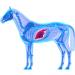 100% Pure Stone-ground Milk Thistle for Horses 1kg - Equine Detoxification immune support and liver health - Buy Online on SooperMarket.com