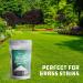 2 lbs Premium Sodium Percarbonate Oxygen Bleach Powder - 99.9% Pure - Multi-Use - Eco-Friendly - Ecoxall Chemicals - Buy Online on SooperMarket.com
