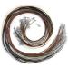 Necklace Cord  Paxcoo 50Pcs Necklace String Rope with Clasp  24 Inch Waxed Cotton Cord Necklace Bulk for Charms Pendants  Bracelets  Necklaces  Jewelry Making Supplies and Beading Supplies 24 Inches