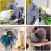 Rypet Cozy Corner Fleece Bird Blanket - Parrot Cage Snuggle Hut for Parakeet, Cockatiel, African Grey - Hanging Hammock Toy for Small Amazon Parrots - Buy Online on SooperMarket.com
