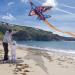 Large Flerigh Plane Kite for Kids and Adults | Easy to Fly & Assemble | Ideal for Beginners & Professionals | Beach & Outdoor Activities | Ages 4-12 - Buy Online on SooperMarket.com