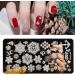 Sanwood Nail Stamping Plate - Clear Engraved Xmas Patterns | Stainless Steel Nail Art Template Tool Kit for Manicure - Style 5 - Buy Online on SooperMarket.com