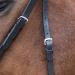 WALDHAUSEN Star Bitless Bridle for Ponies - Premium Quality Black Equestrian Gear | International Shipping - Buy Online on SooperMarket.com