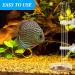 3-Piece Shrimp Feeding Set: Glass Shrimp Feeding Tube, Feeder Tube, and 2 Aquarium Feeding Dishes - Fish Tank Supplies - Buy Online on SooperMarket.com