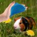 Bunny & Guinea Pig Grooming Kit | 3- Piece Bath Brush Set with Adjustable Hand Strap - Buy Online on SooperMarket.com