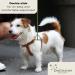 Dogissimi Leather Dog Harness for Small & Medium Dogs - Adjustable Ergonomic Handmade in Italy (Size L - Military Breast 52-69 cm) - Buy Online on SooperMarket.com