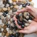 Hisredsun 2.1 lb Decorative Stones 0.4-1 inch Natural Polished Pebbles for Plant Pots River Rocks for Landscaping Vase Fillers Succulents Aquarium and Garden Decoration 0.95 Kilograms Multi