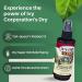 Ivy Corporation Dry Itch Relief Spray - Fast-Acting Relief from Poison Ivy Itching - 6 Fl Oz + Bonus Key Chain - Buy Online on SooperMarket.com