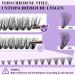 Lash Cluster Single Lashes | 280 PCS 3D Fluffy Wimpern Extensions | DIY 30D & 40D Mix - Natural Look - Buy Online on SooperMarket.com