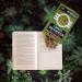 Seapoint Farms Dry Roasted Edamame Wasabi Pouches 3.5 oz 3 pk - Buy Online on SooperMarket.com