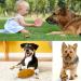19-Piece Dog Toy Set - Durable Cornitoo Rope Balls & Chew Toys for Small Medium & Large Dogs - Interactive & Tooth Training - Buy Online on SooperMarket.com