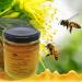 Premium Wildflower Honey - Creamy Spreadable A Fine And Refined Texture | Pure Natural And Tasty Polyfloral Honey For Adults And Kids 240 g - Buy Online on SooperMarket.com
