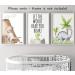 Dinosaur Set of 3 Unframed Poster Prints with Quote for Baby Nursery Decor - Roar A4 - Buy Online on SooperMarket.com