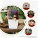 HOMSFOU 2pcs Christmas Simulation Potted Plant Artificial Plant for Desk Decor Festival Potted Plant Adornment Fake Christmas Plants with Fake Flowers Plastic Sisal Tree Outdoor Office Goldenx2pcs 21X11cmx2pcs - Buy Online on SooperMarket.com