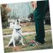 Buy Angoily Stainless Steel Dog Clutch Belt - 2-Piece Metal Binder Set (42x8.5x4cm) - Durable Silver Design for International Shipping - Buy Online on SooperMarket.com