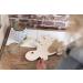 Bo Baby's ONLY Dino Wall Lamp - Battery-Powered Night Light for Baby's Room - FSC Certified Wooden Lamp - 25 000 Hours of Warm Glow - Buy Online on SooperMarket.com