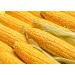 Organic Old Fashioned Cornmeal 2.5 Pounds - Non-GMO Whole Grain Meal - Vegan & Kosher - Made in USA - Great for Baking Cornbread, Pancakes, & Tortillas - Buy Online on SooperMarket.com