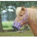 Busse Fressbremse Classic Violet 1 piece (1 pack)