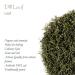 Organic Dill Herb - Premium Quality Gourmet Garnish for Exquisite Dishes | 100g - Buy Online on SooperMarket.com