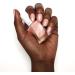 Essie Gel Couture Hold The Position Nail Polish Hold The Position 13.5 ml (Pack of 1) - Buy Online on SooperMarket.com