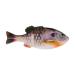 Berkley Powerbait Gilly Fishing Soft Bait 90mm HD Bluegill