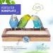 Premium Bird Gallery Perch - Quality Budgie Perches & Accessories for Bird Cages | International Shipping Available - Buy Online on SooperMarket.com