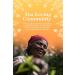 English Tea Shop Organic Turmeric Ginger & Lemongrass (15 Pyramids) 30 g - Buy Online on SooperMarket.com