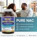 Herba NAC Supplement 600mg 120 Vegetable Capsules | N-Acetyl-L-Cysteine | NAC Supplement 600 mg for Antioxidant | Premium & Pure | Made in Canada | 120 Capsules - Buy Online on SooperMarket.com