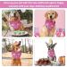 NPQ Pink Dog Birthday Bandana Adjustable Pet Birthday Bandana for Samll Dog Cat Pig Ect Your Pet's Special Day for Small Pets Birthday Party Supplies - Buy Online on SooperMarket.com