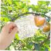SUPVOX 2pcs for Growing Grow Tools Growth Shaped Forming Reusable Shape Fruit Shaping Plastic - Buy Online on SooperMarket.com