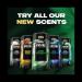 AXE Fine Fragrance Collection Aluminum No Deodorant Stick for Men Green Geranium 4 Count with 48H Odor Protection and All-Day Freshness Infused with Geranium Cedar & Patchouli Essential Oils 2.6 oz - Buy Online on SooperMarket.com