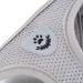 Ranphy Cat Dishes with Leash - Breakproof Reflective Padding Harness for Small Cats | Soft Fabric Puppy Dishes | XS Size (Chest 26 cm) - Gray - Buy Online on SooperMarket.com