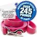 Logical Leather 6ft Heavy Duty Full Grain Leather Dog Leash - Pink - Buy Online on SooperMarket.com