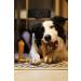 Bamboodles T Bone Dog Chew - Medium Chicken Flavor for Aggressive Chewers - Buy Online on SooperMarket.com