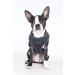 Puppia Dog Harness for Small & Medium Dogs - Super Soft Multi-Color Options & Puppy Training - Atani XXL Gray - Buy Online on SooperMarket.com