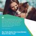5Strands Pet Food Intolerance Test: At-Home Sensitivity Test for Dogs & Cats | 270 Items | Results in 7 Days - Protein, Grain, Fruit, Preservatives | Hair Analysis | Accurate for All Ages and Breeds - Buy Online on SooperMarket.com