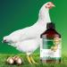 R hnfried Hennengold 500 ml | Reduce Broken Eggs & Promote Feather Growth for Chickens & Poultry | International Shipping Available - Buy Online on SooperMarket.com