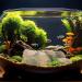 Ctpeng Aquarium Decoration Stone - Natural Look Decorative Rock & Hiding Place (25cm 13cm 7cm Resin) - Ideal Aquarium Accessories - Buy Online on SooperMarket.com
