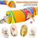 Malier Cat Toys Set - Interactive Collapsible Cat Tunnels, Feather Toy, Crinkle Balls - for Indoor Cats, Kittens, and Small Pets - A-Rainbow - Buy Online on SooperMarket.com