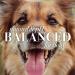 Burt's Bees for Dogs Natural Detangling Spray with Lemon & Linseed | 10 Oz Cruelty-Free Formula | Made in USA | Sulfate & Paraben-Free - Buy Online on SooperMarket.com