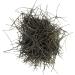 Dried Chinese Pine Needle Herb Tea 100g - Buy Online on SooperMarket.com