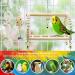 Deloky 7 Pack Bird Parrot Swing Chewing Toys - Hanging Bell Cage Toys for Small Parakeets, Cockatiels, Conures, Finches, Budgies, Macaws, Parrots, Love Birds - Buy Online on SooperMarket.com