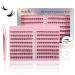 Lash Cluster Individual Eyelash: 192 Pcs False Eyelashes - DIY Wispy Fluffy Lash Extension - D Curl Lash Clusters Natural Look Black