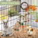 ERKOON Rabbit Hamster Hanging Chew Toys - Applewood Boredom Breaker with Grass Ball and Carrot Treats for Small Pets - Buy Online on SooperMarket.com