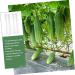 Milisten 15 Pcs Vegetable Shaping Mold Watermelon Forming Machine - Buy Online on SooperMarket.com